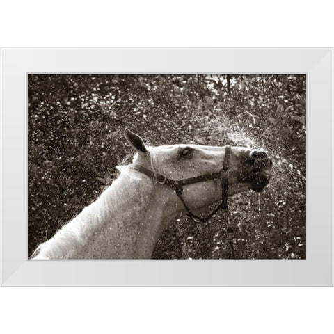 After a Shower White Modern Wood Framed Art Print by Dratfield, Jim