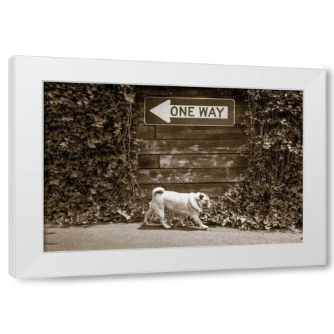 Which Way White Modern Wood Framed Art Print by Dratfield, Jim