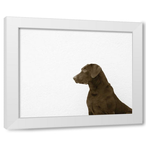 I See You Crop White Modern Wood Framed Art Print by Dratfield, Jim