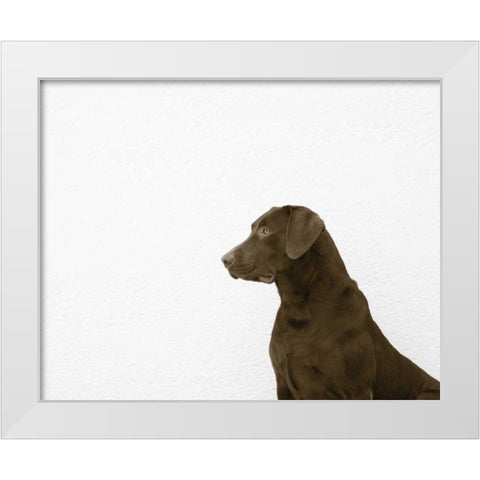 I See You Crop White Modern Wood Framed Art Print by Dratfield, Jim