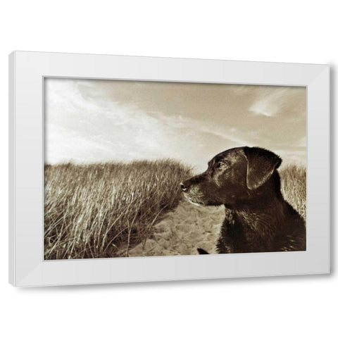 At the Beach White Modern Wood Framed Art Print by Dratfield, Jim