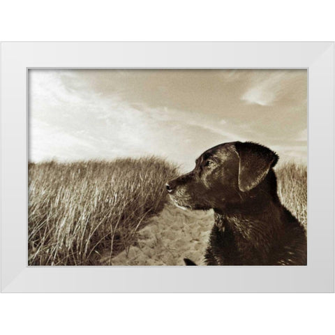 At the Beach White Modern Wood Framed Art Print by Dratfield, Jim