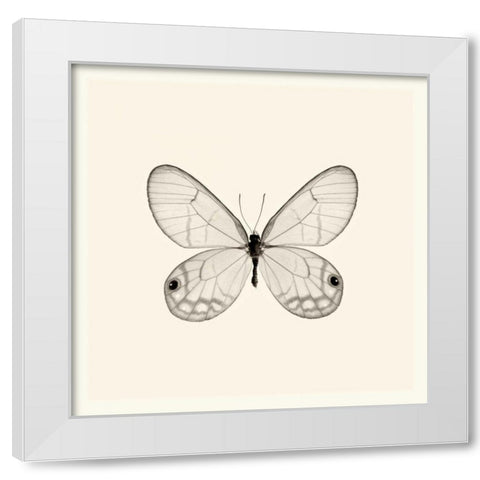 Butterfly I BW Crop White Modern Wood Framed Art Print by Van Swearingen, Debra