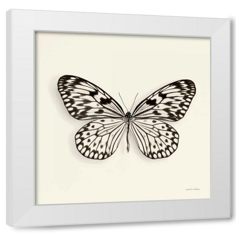 Butterfly V BW Crop White Modern Wood Framed Art Print by Van Swearingen, Debra