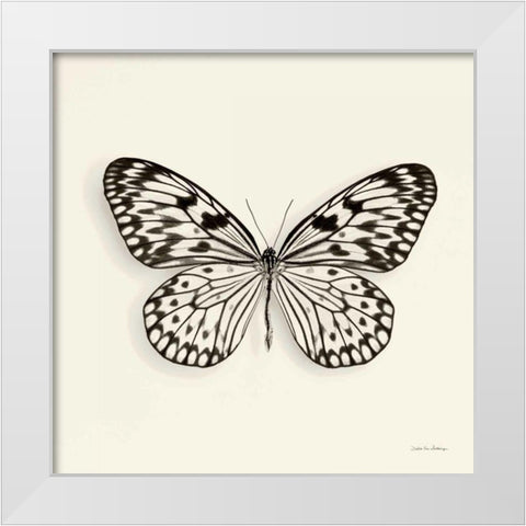 Butterfly V BW Crop White Modern Wood Framed Art Print by Van Swearingen, Debra