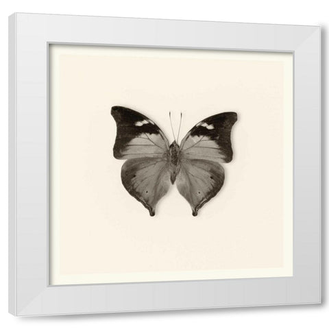 Pela Studio White Modern Wood Framed Art Print by Van Swearingen, Debra