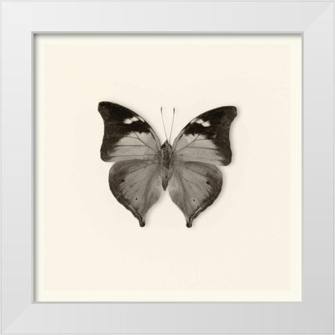 Pela Studio White Modern Wood Framed Art Print by Van Swearingen, Debra