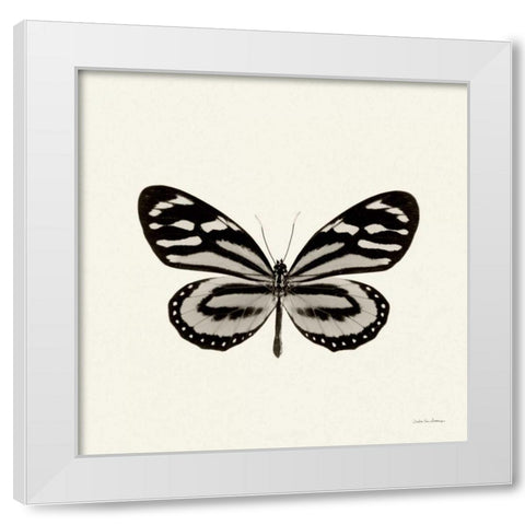 Butterfly VIII BW Crop White Modern Wood Framed Art Print by Van Swearingen, Debra