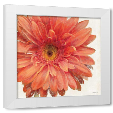 Vivid Daisy White Modern Wood Framed Art Print by Nai, Danhui