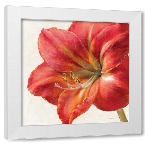 Vivid Amaryllis White Modern Wood Framed Art Print by Nai, Danhui