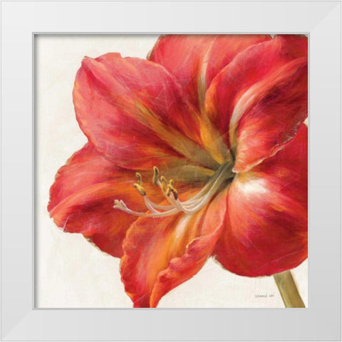 Vivid Amaryllis White Modern Wood Framed Art Print by Nai, Danhui