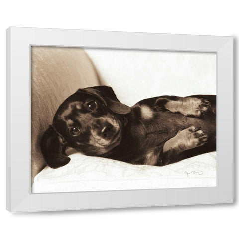 Dachshund Diva White Modern Wood Framed Art Print by Dratfield, Jim