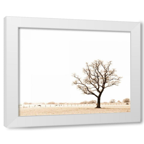 Bleached Bones of Winter White Modern Wood Framed Art Print by Bevan, Keri