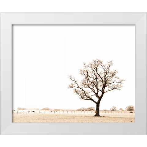 Bleached Bones of Winter White Modern Wood Framed Art Print by Bevan, Keri