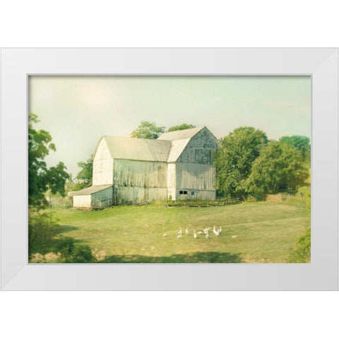 Farm Morning III Square White Modern Wood Framed Art Print by Schlabach, Sue