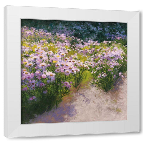 Buckhorn Aster Show White Modern Wood Framed Art Print by Novak, Shirley