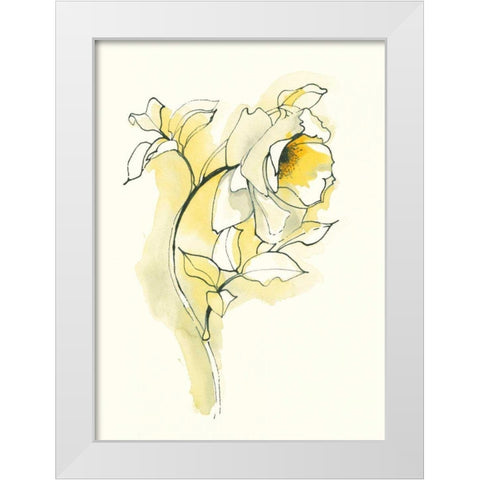 Carols Roses III White Modern Wood Framed Art Print by Novak, Shirley