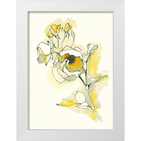 Carols Roses IV White Modern Wood Framed Art Print by Novak, Shirley