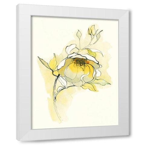 Carols Roses V White Modern Wood Framed Art Print by Novak, Shirley