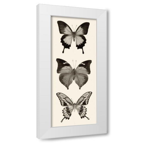 Butterfly BW Panel I White Modern Wood Framed Art Print by Van Swearingen, Debra