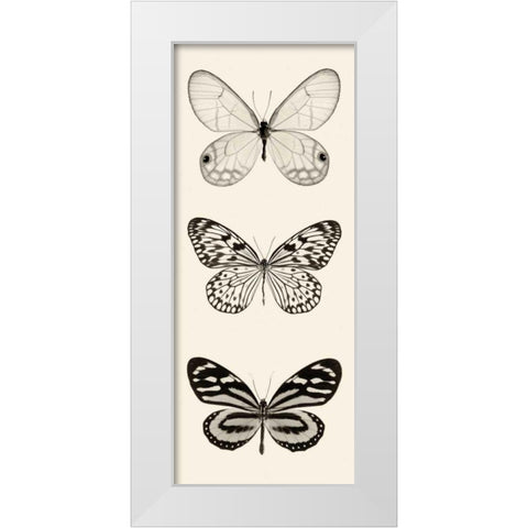 Butterfly BW Panel II White Modern Wood Framed Art Print by Van Swearingen, Debra