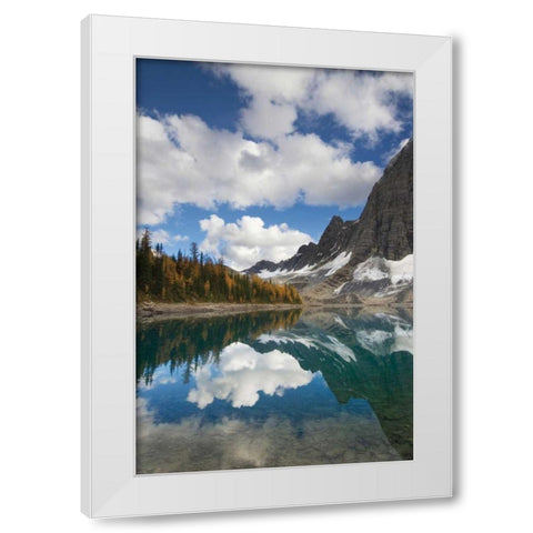 Floe Lake Reflection I White Modern Wood Framed Art Print by Majcrowicz, Alan