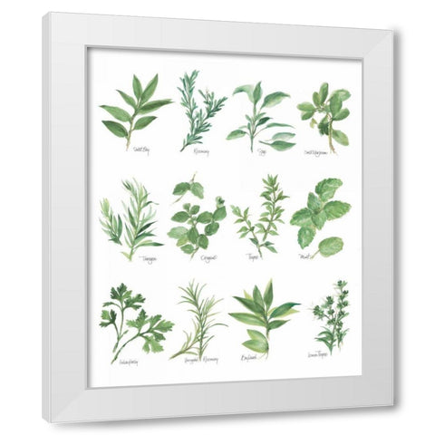 Herb Chart White Modern Wood Framed Art Print by Paschke, Chris