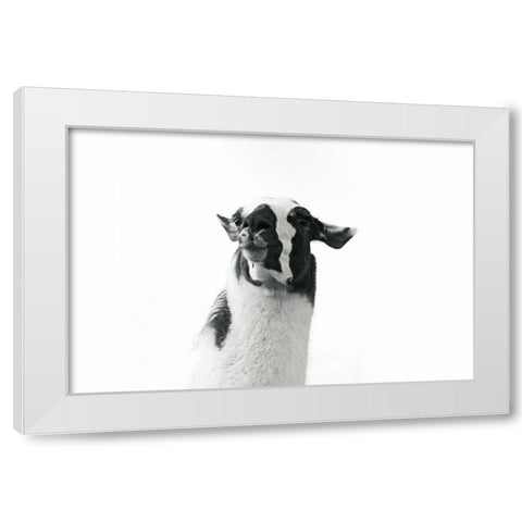 Lovable Llama I White Modern Wood Framed Art Print by Marshall, Laura