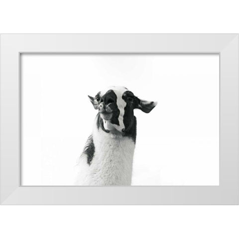Lovable Llama I White Modern Wood Framed Art Print by Marshall, Laura