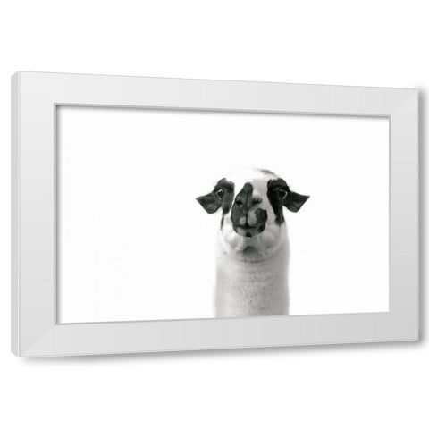 Lovable Llama II White Modern Wood Framed Art Print by Marshall, Laura