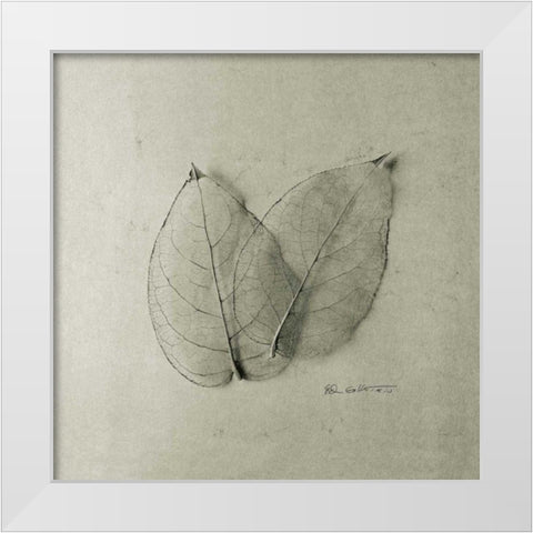 Pair of Skeleton Leaves White Modern Wood Framed Art Print by Goldstein, Ed