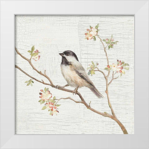 Black Capped Chickadee Vintage White Modern Wood Framed Art Print by Nai, Danhui