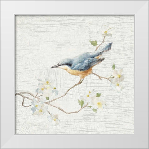 Nuthatch Vintage White Modern Wood Framed Art Print by Nai, Danhui