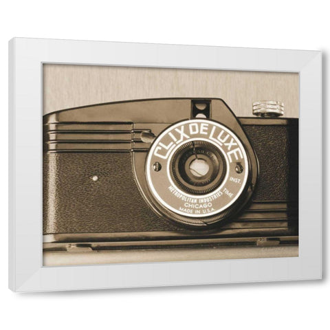 Clix de Luxe White Modern Wood Framed Art Print by Goldstein, Ed