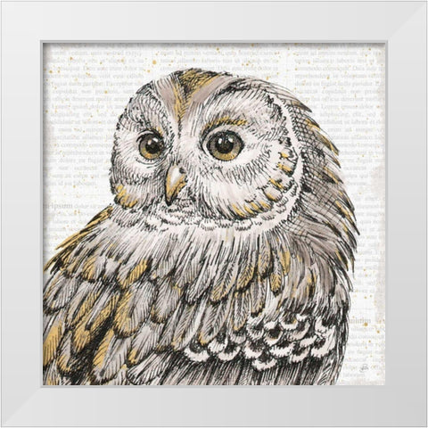 Beautiful Owls I White Modern Wood Framed Art Print by Brissonnet, Daphne