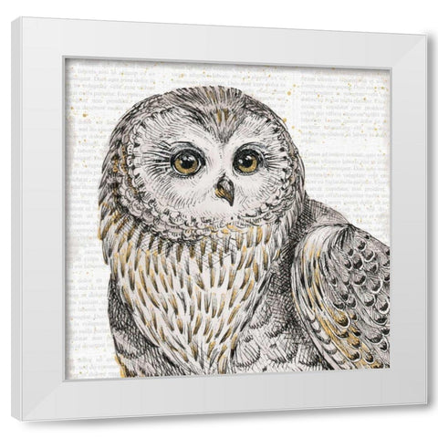 Beautiful Owls II White Modern Wood Framed Art Print by Brissonnet, Daphne