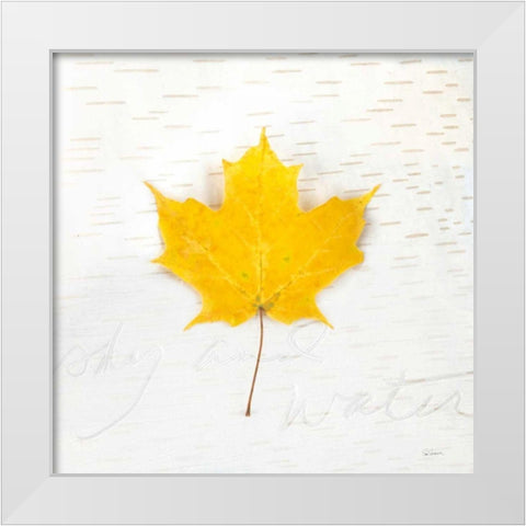 Autumn Colors II White Modern Wood Framed Art Print by Schlabach, Sue