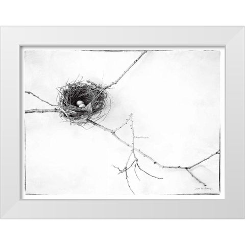 Nest and Branch I v2 White Modern Wood Framed Art Print by Van Swearingen, Debra