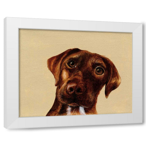 Moose White Modern Wood Framed Art Print by Ducklow, Patsy