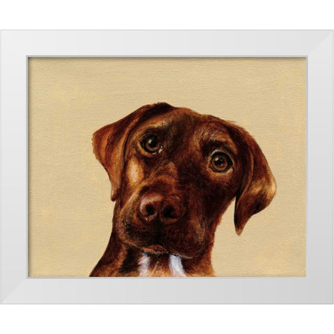 Moose White Modern Wood Framed Art Print by Ducklow, Patsy