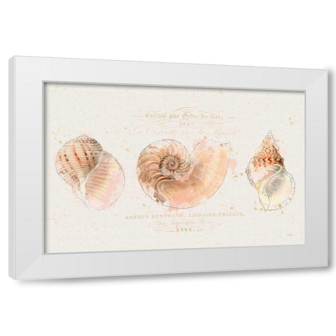 Shell Collector I White Modern Wood Framed Art Print by Pertiet, Katie