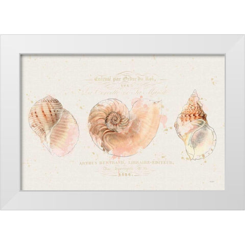 Shell Collector I White Modern Wood Framed Art Print by Pertiet, Katie