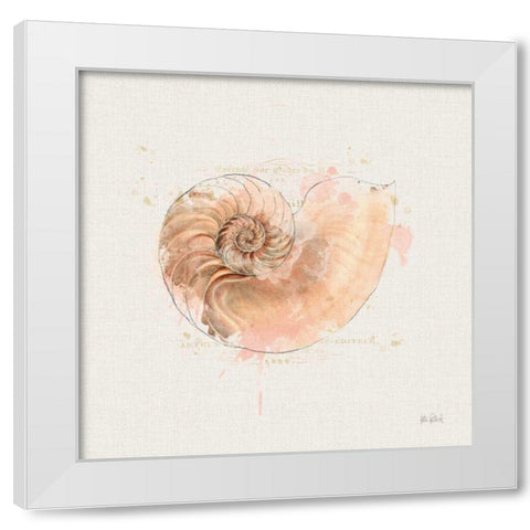 Shell Collector II White Modern Wood Framed Art Print by Pertiet, Katie