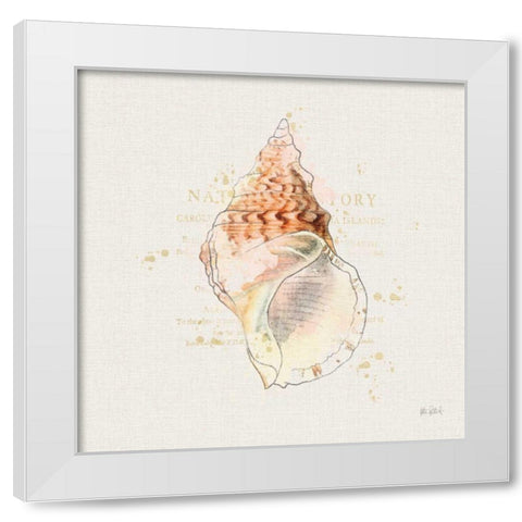Shell Collector III White Modern Wood Framed Art Print by Pertiet, Katie