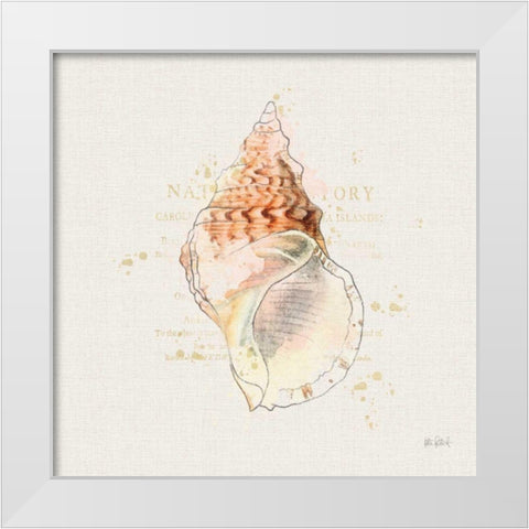 Shell Collector III White Modern Wood Framed Art Print by Pertiet, Katie