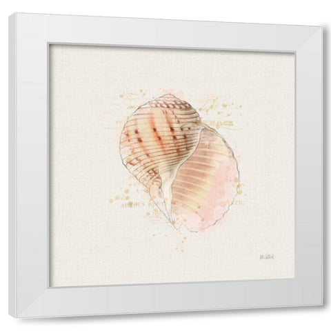 Shell Collector V White Modern Wood Framed Art Print by Pertiet, Katie