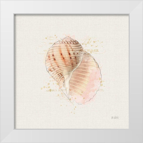 Shell Collector V White Modern Wood Framed Art Print by Pertiet, Katie