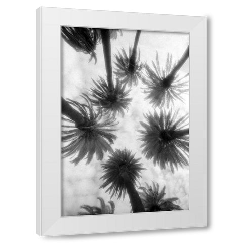 Amongst the Palms White Modern Wood Framed Art Print by Dratfield, Jim