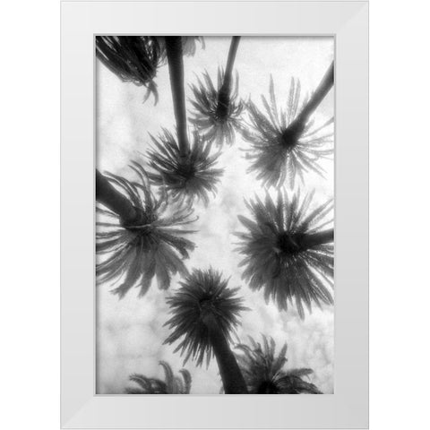 Amongst the Palms White Modern Wood Framed Art Print by Dratfield, Jim