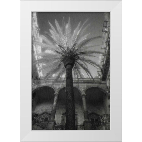 Palermo White Modern Wood Framed Art Print by Dratfield, Jim